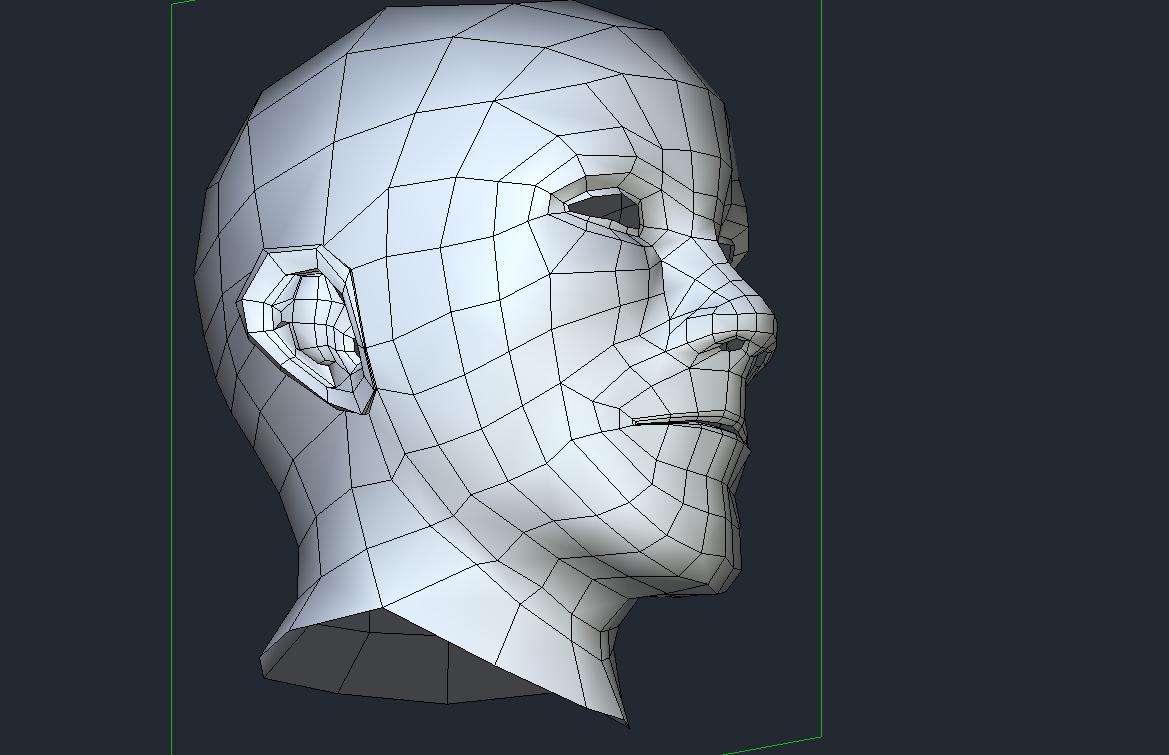 Toy car exploring offroad.